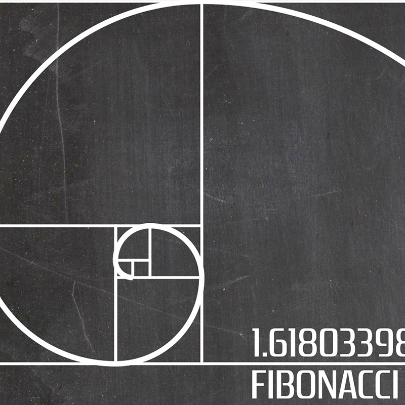 Fibonacci Spiraal Patent Wall  - Interior Design Studio recensie en prijs